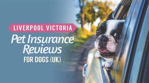 lv pet insurance contact number